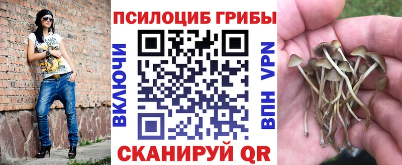 Галлюциногенные грибы Cubensis Купить Моздок